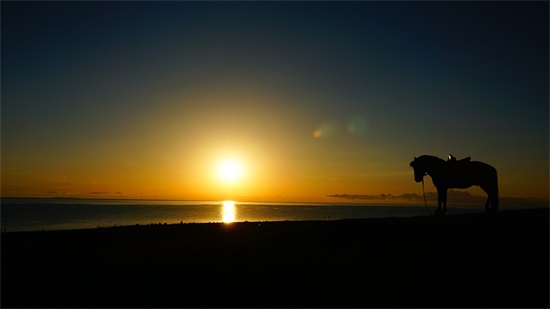 个性网名2025最新版男