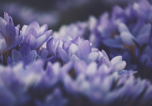 可爱女生伤感网名(共262个)