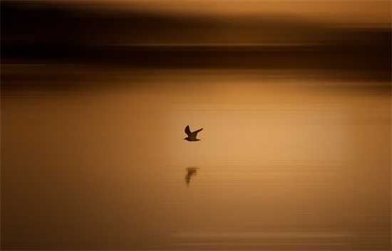 超拽霸气高冷男生网名(精选113个)