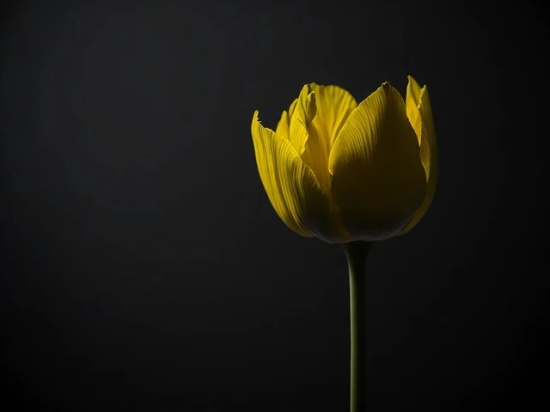 大话西游名字带符号(优选115个)