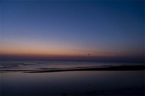 超级搞笑网名大全(精选105个)