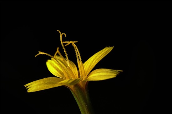 百听不厌的网名女2025年(精选118个)