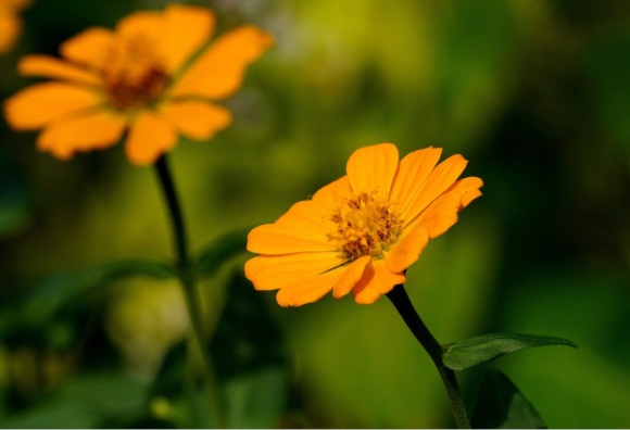 一对简洁可爱的情侣名字(优选164个)