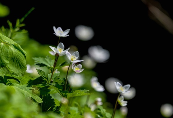帅气可爱的男生网名大全(共267个)