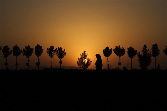 女孩取名美丽雅致名字大全