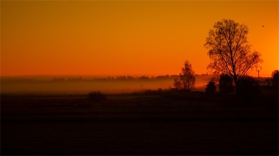2025虎年宝宝起名宜用字：带祁字势如破竹的男孩名字