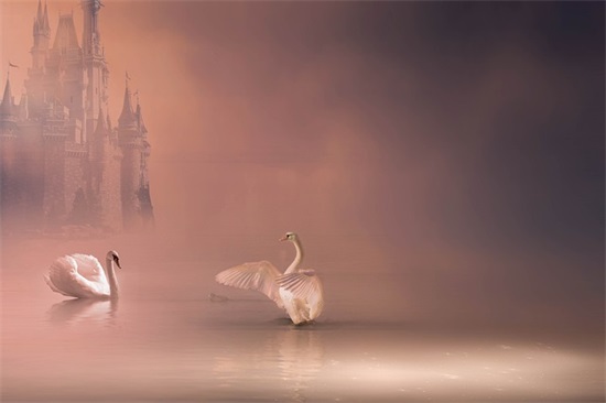 商业公司起名取名命名