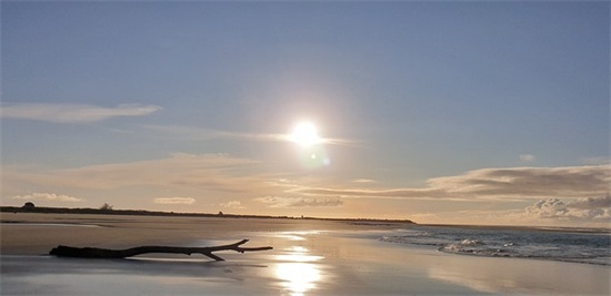 大s新生宝宝起名汪希箖