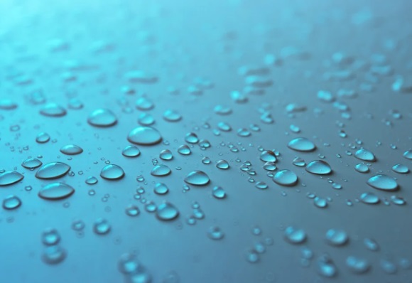 好听可爱名字呆萌女生网名(精选274个)