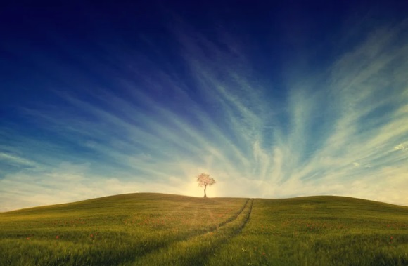 有趣又可爱的网名(共202个)