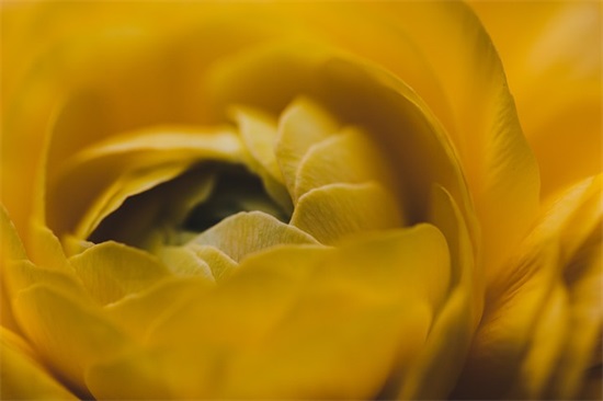 2025龙宝宝取吉祥名的5大特点