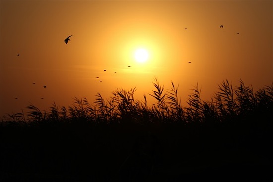 独特稀少女孩名字大全2000个