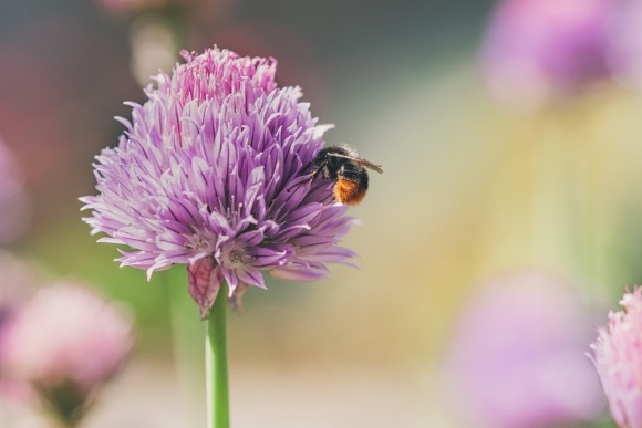 可爱到爆的情侣名字(精选130个)