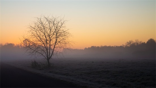 起名字大全女孩 1600个好听女孩名