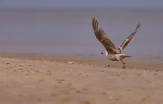 2025年学字辈取这些名字好听