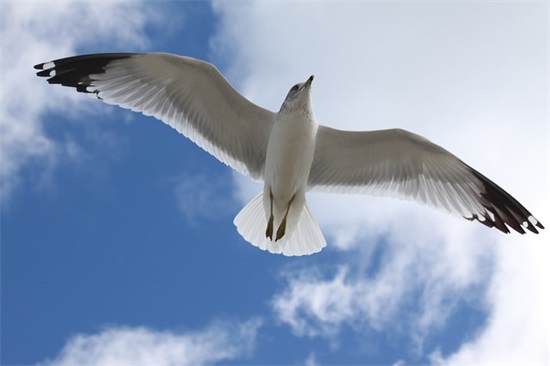 给女孩起名字 精选好听字眼