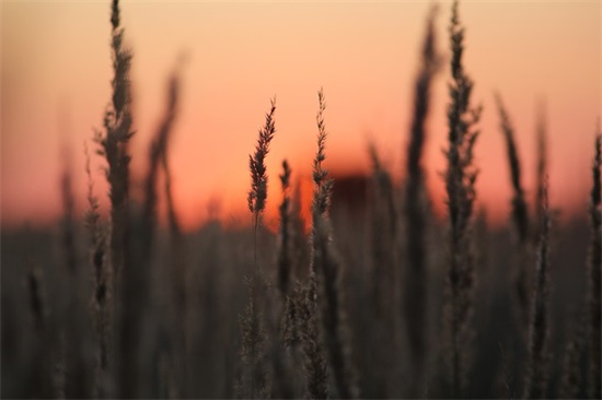 雪字起名大全,雪字取名大全