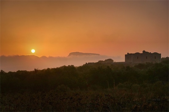 带雅的女孩名字