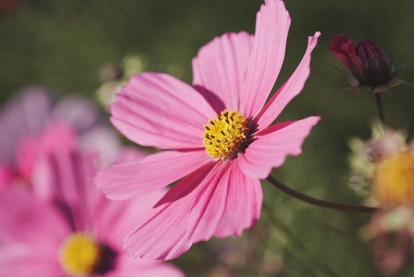 可爱的中二网名(优选193个)