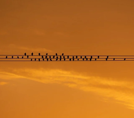 属牛新生儿周易起名宜忌大全宝典！