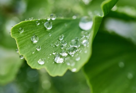 五个字可爱的游戏名字(优选216个)