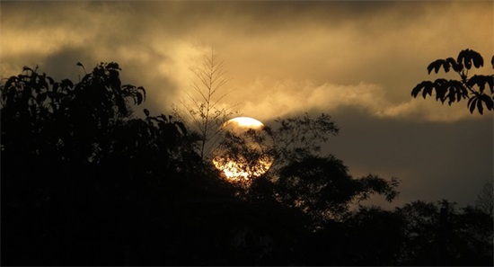 两字诗意网名古风