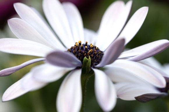 可爱唯美的简短网名(186个)