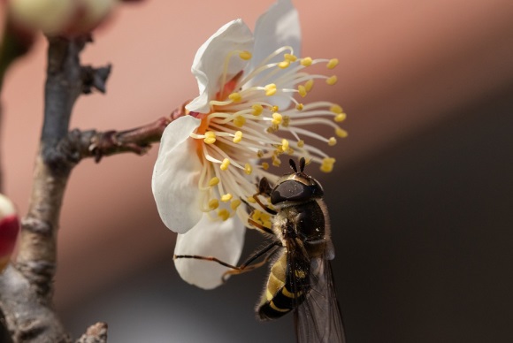 优雅有气质的个性微信网名(精选1542个)