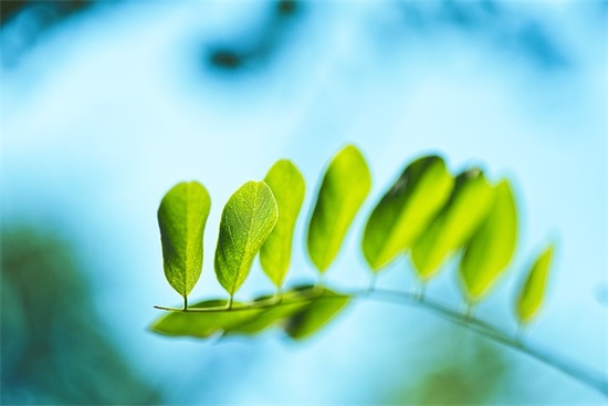 温暖的网名女生