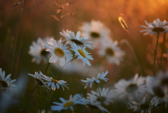 个性独特的微信名字(优选1128个)