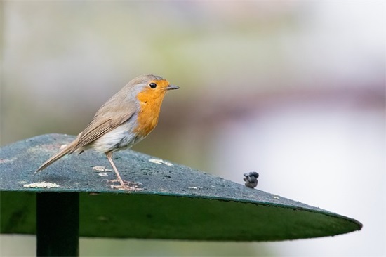 微信伤感网名男生网名