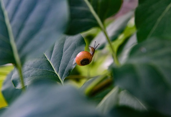 好听的悲伤微信名字大全(971个)