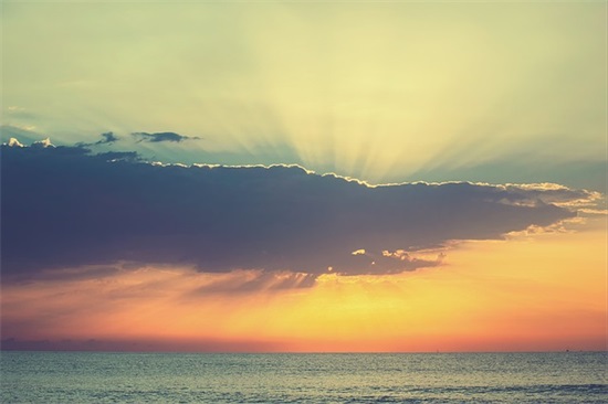 女生励志网名大全