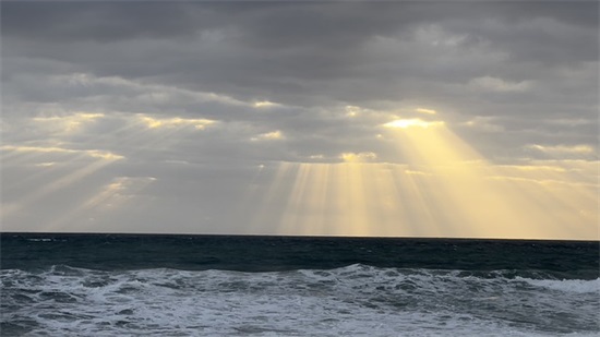 粉色樱花下的梦幻女神