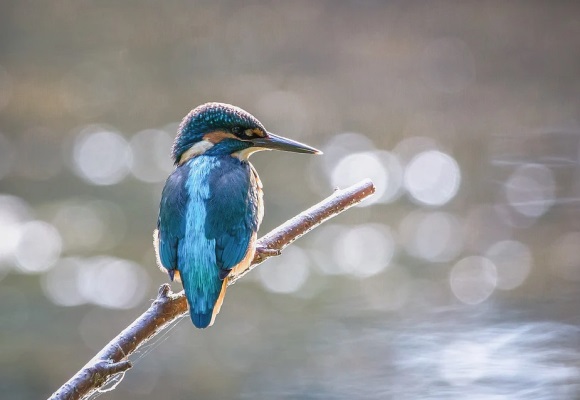 独一无二的情侣微信名(共572个)