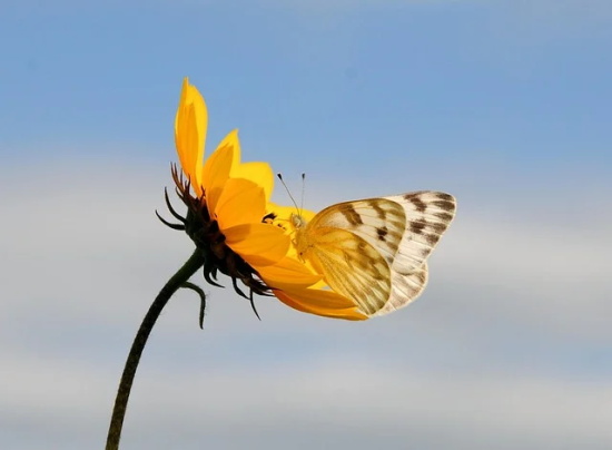 四个字女生网名