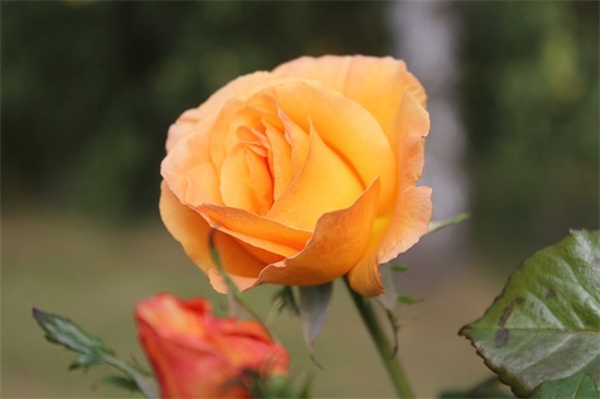 五个字古风网名