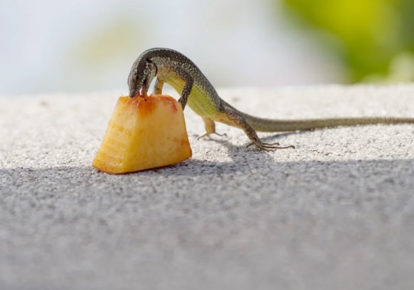 搞笑有内涵的微信名字(共836个)