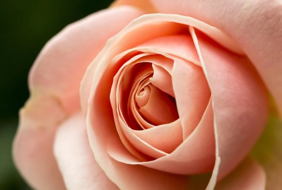 唯美优雅微信名字大全(832个)