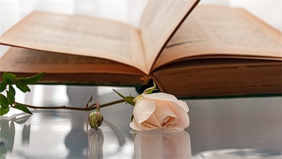 古风两个字的网名