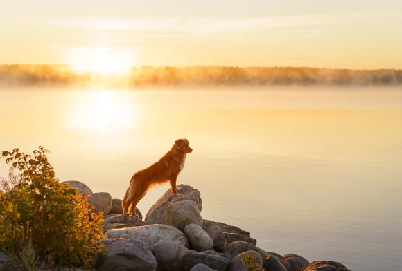 男人气概的微信名字(精选827个)