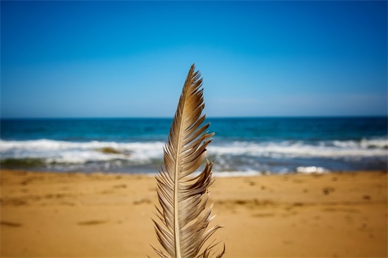 女生古风两字网名