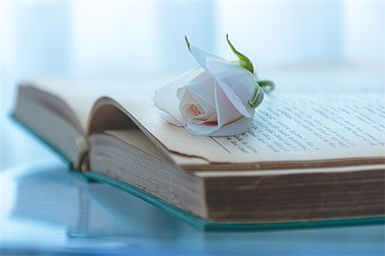 男生霸气的网名