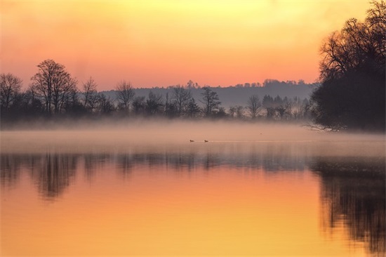 qq网名英文女生