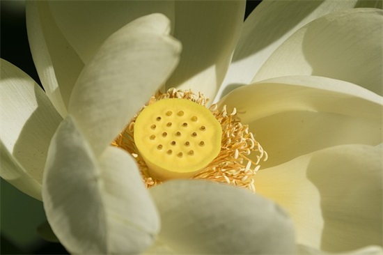 男生个性网名霸气冷酷