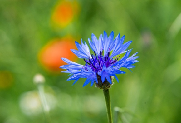 超有内涵的微信名字(共786个)