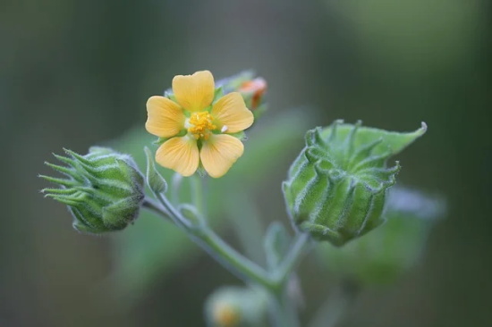 好听高级感id大全460个，高级小众id昵称推荐