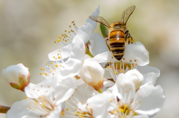 高雅有诗意有内涵的微信昵称(精选770个)