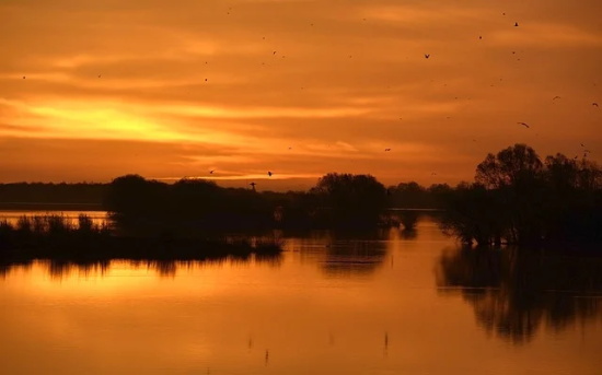 ins风高级感英文名400个