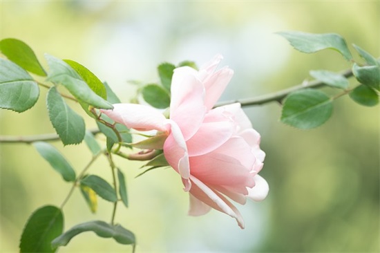 情侣名逗比可爱，皮一点又蛮可爱的情侣网名